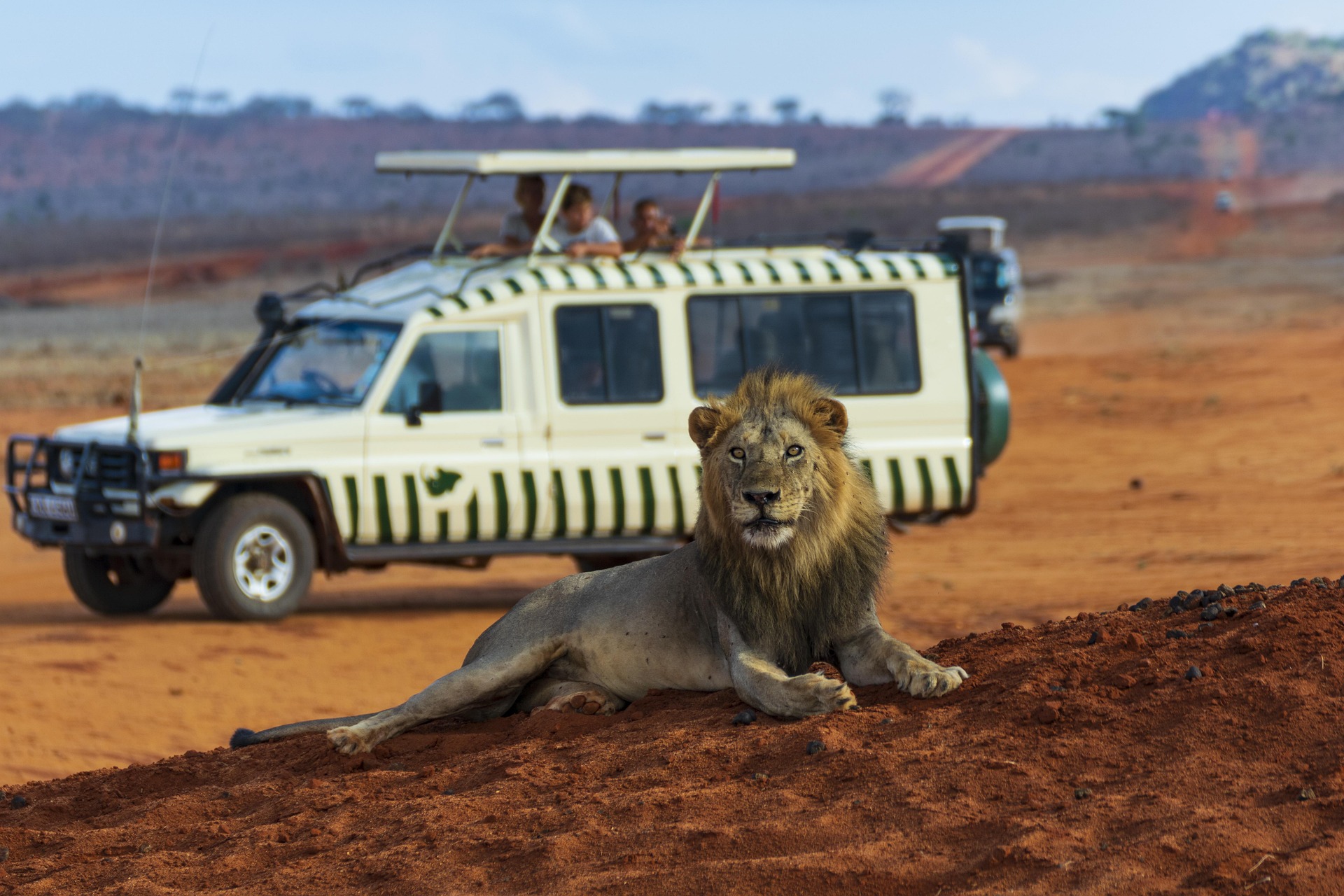 Niroskos Safari Adventure